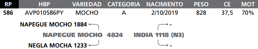 Lote LOTE   25- RP 586