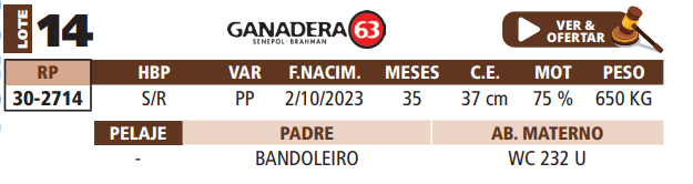 Lote LOTE 14