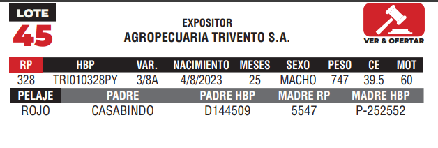 Lote LOTE 45 - CAMPO