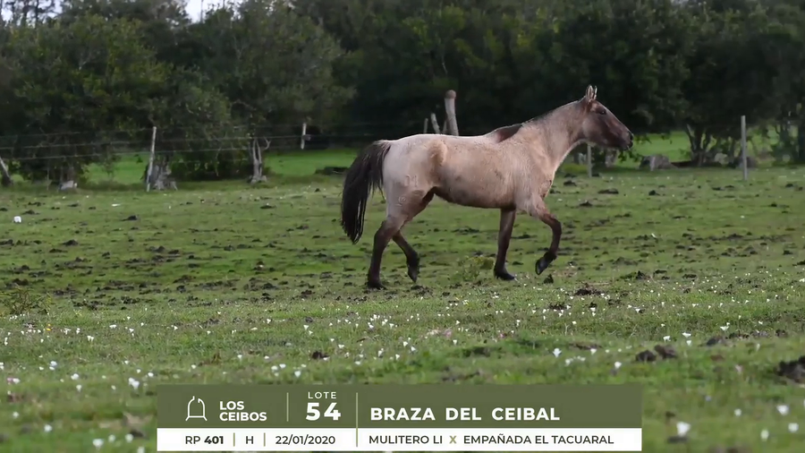 Lote BRAZA DEL CEIBAL