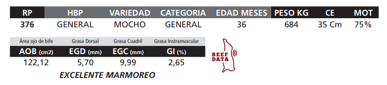 Lote LOTE 27
