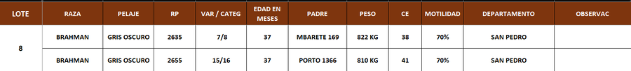 Lote LOTE 8