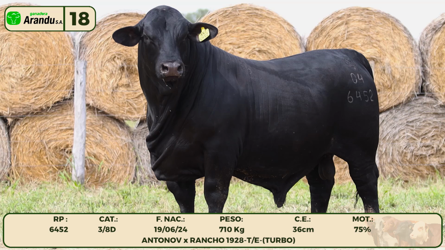 Lote LOTE 18