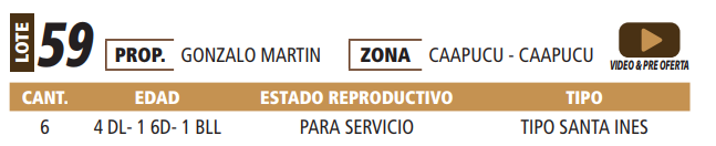 Lote LOTE 59 -POR PANTALLA