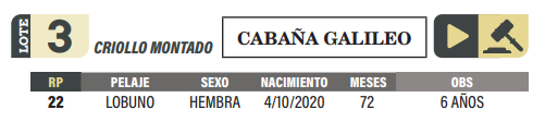 Lote LOTE 3