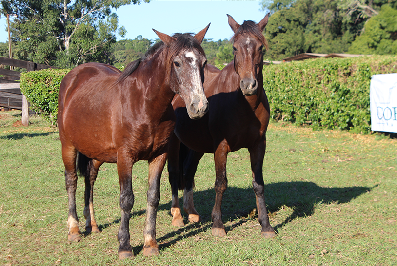 Lote DEL SIETE PA 'QUE TENGA