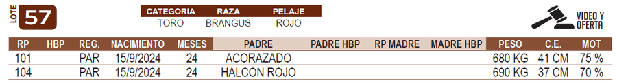 Lote LOTE 57