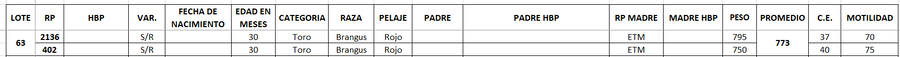Lote LOTE 63