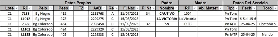 Lote 5 Vaquillonas preñadas en Corrientes, Curuzú-Cuatiá