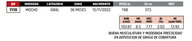 Lote LOTE 88