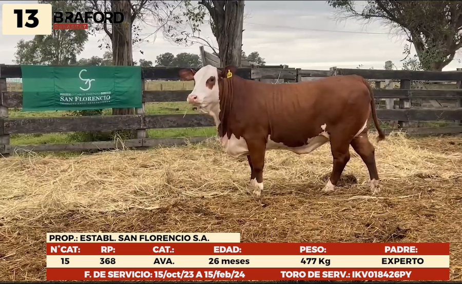 Imagen 1 del Lote Lote LOTE 13