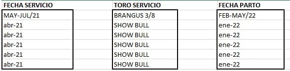Lote VAQUILLONA PREÑADAS CORRAL 65