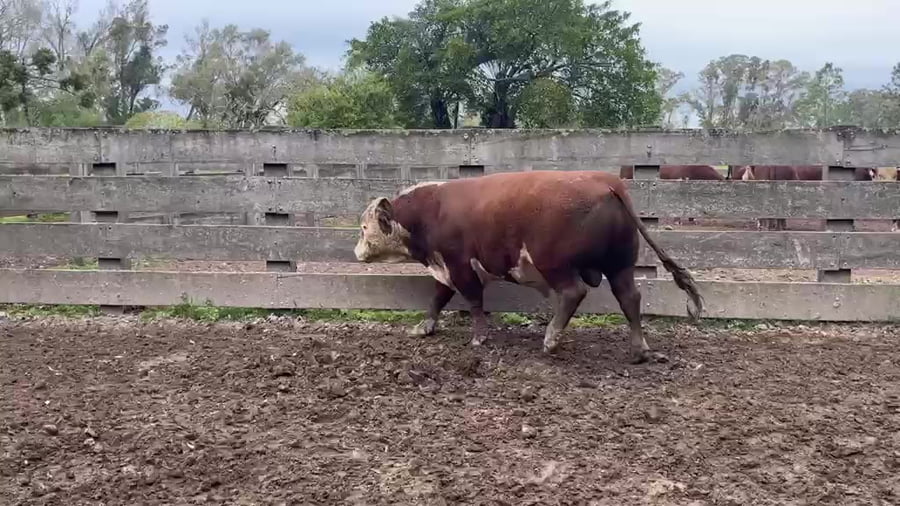 Lote El Vichadero RP H546