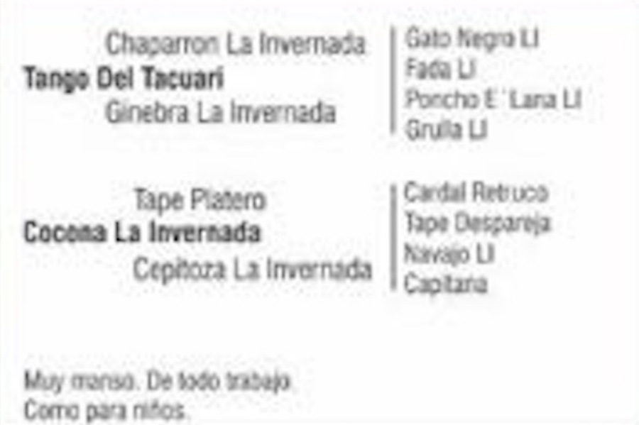 Lote RECOMENDADO DEL QUEBRACHAL