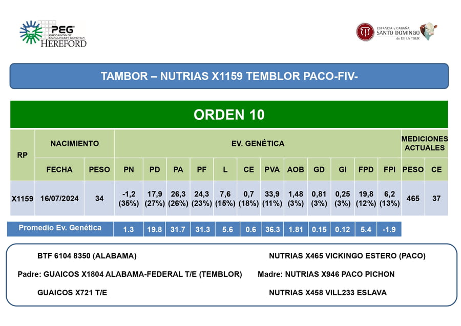 Lote Terneros PP