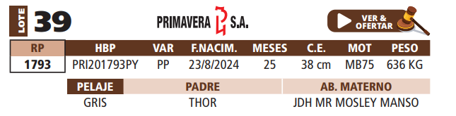 Lote LOTE 39