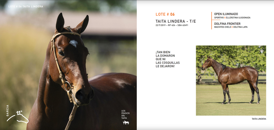 Lote TAITA LINDERA - T/E (OPEN ILUMINADO - DOLFINA FRONTIER)
