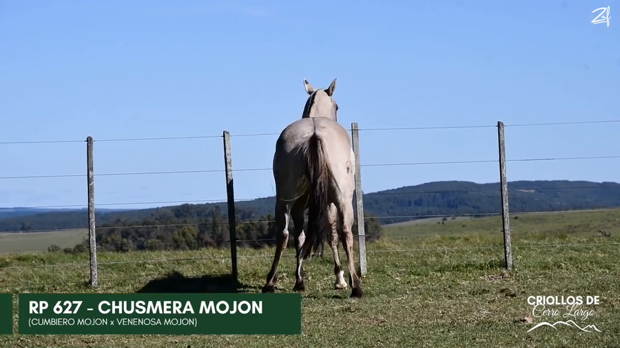 Lote CHUSMERA MOJON