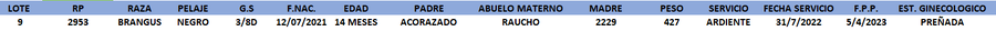 Lote LOTE 9