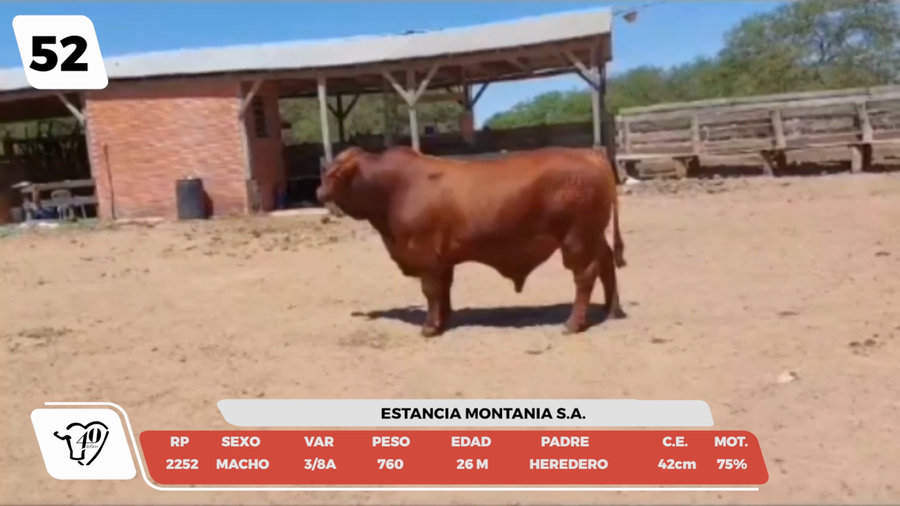 Lote LOTE 52-DE CAMPO