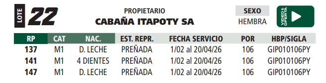 Lote LOTE 22
