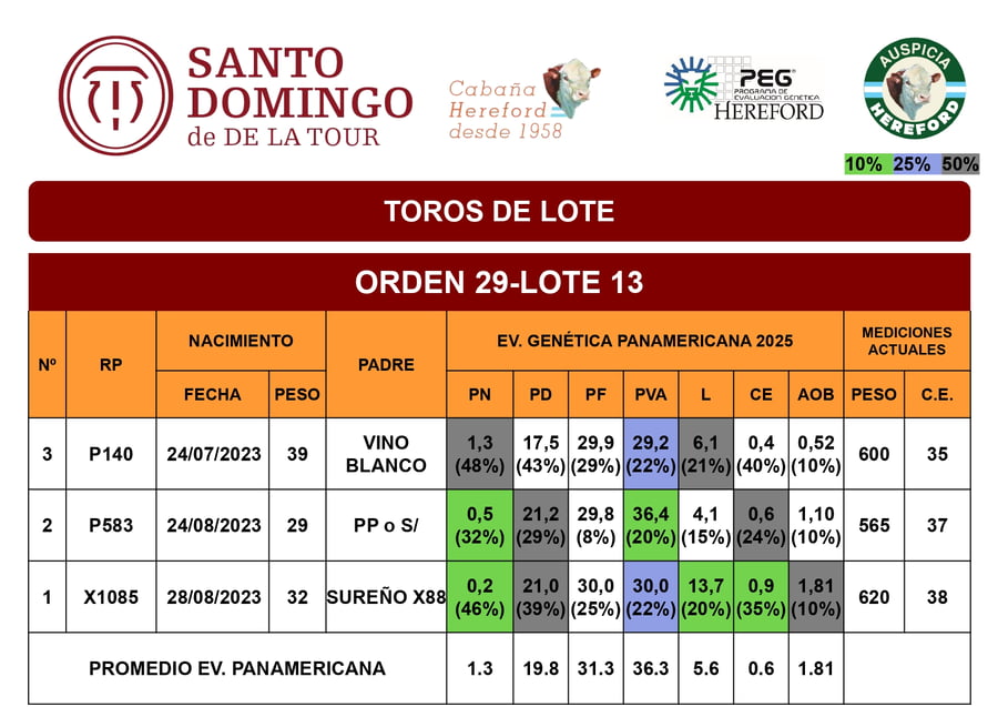 Lote Toros de Lote