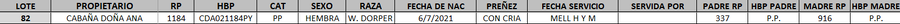 Lote LOTE 82- DESTACADO