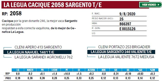 Lote VAQUILLONAS PURA DE PEDIGREE
