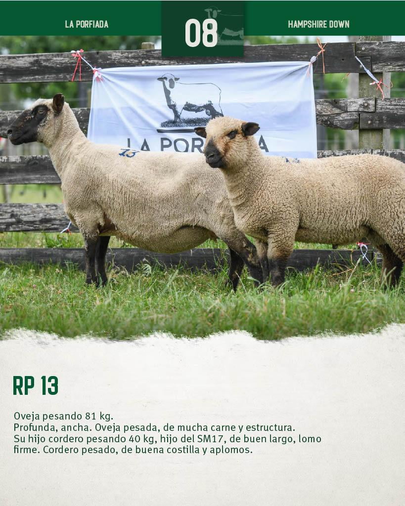 Lote Ovejas a remate en 4º Genetica Productiva, Florida