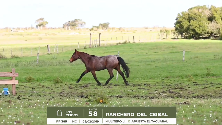 Lote RANCHERO DEL CAIBAL