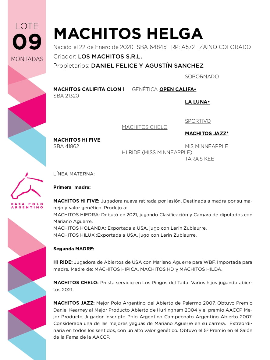 Lote MACHITOS HELGA (MACHITOS CALIFITA CLON 1 - MACHITOS HI FIVE)