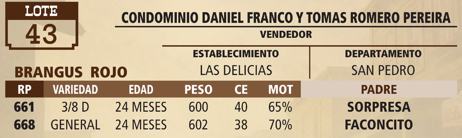 Lote LOTE 43 - VIVO