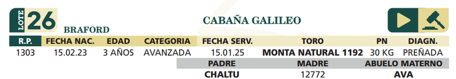 Lote LOTE 26