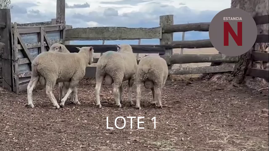Lote Lote 1 - Estancia Nueva
