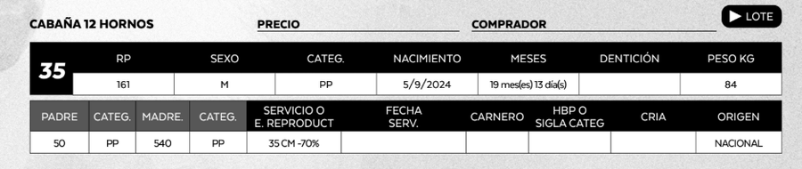 Lote LOTE 35