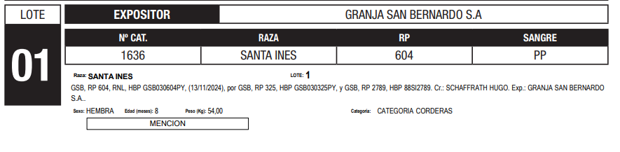 Lote LOTE 1