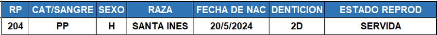 Lote LOTE 10