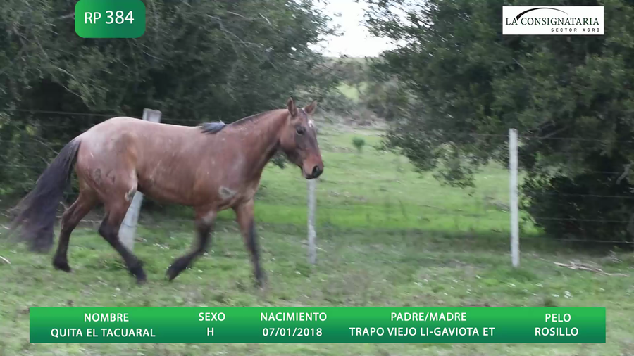 Lote QUITA EL TACUARAL