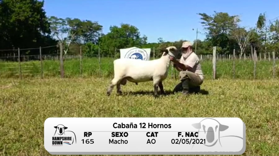 Lote LOTE 2 BOZAL - RP 165