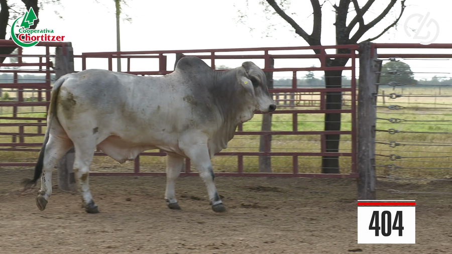 Lote Brahman