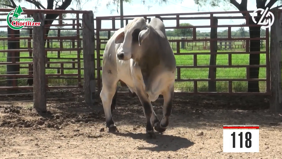 Lote Brahman