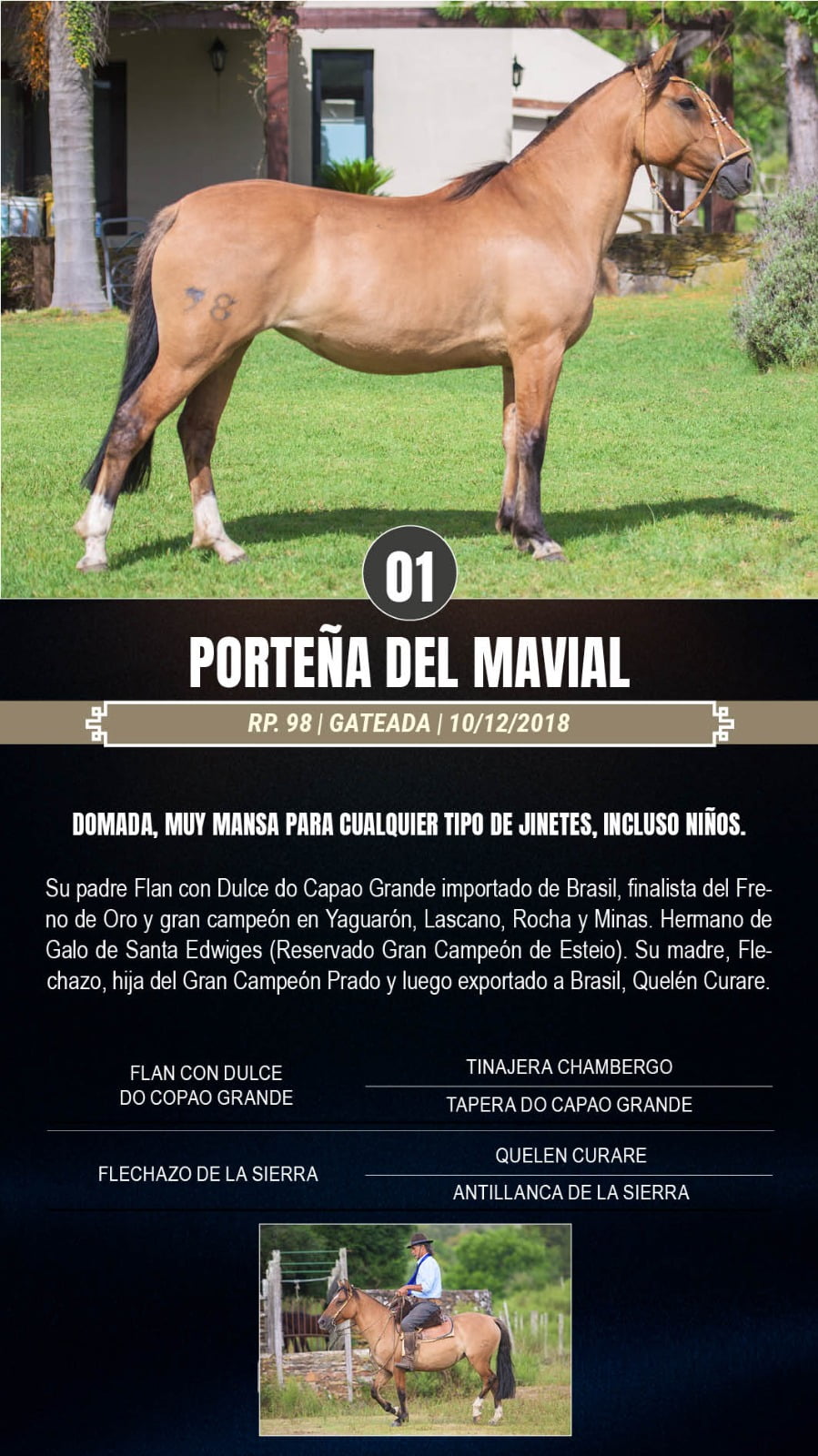Lote Porteña del Mavial