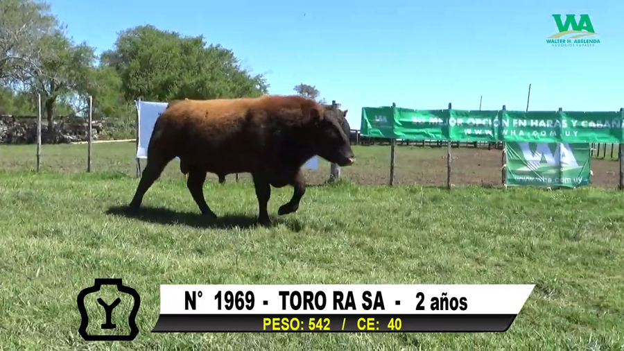 Lote TORO Nº 1969
