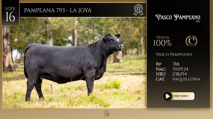 Lote PAMPEANA 793 - LA JOYA