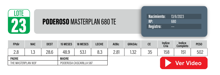 Lote Toros PI / PO / PC Hereford a remate en Cabaña La Poderosa, Florida