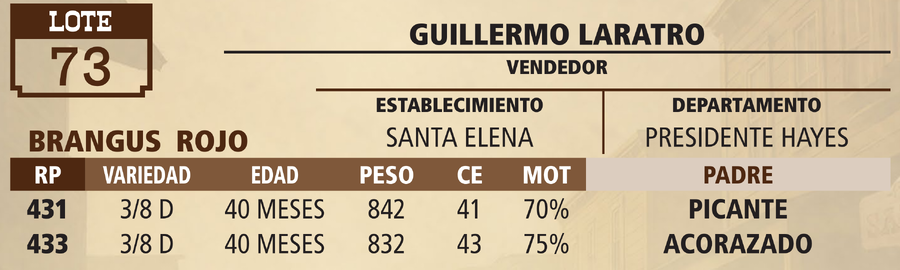 Lote LOTE 73 - VIVO