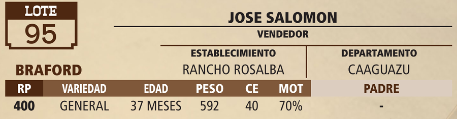 Lote LOTE 95 - VIVO