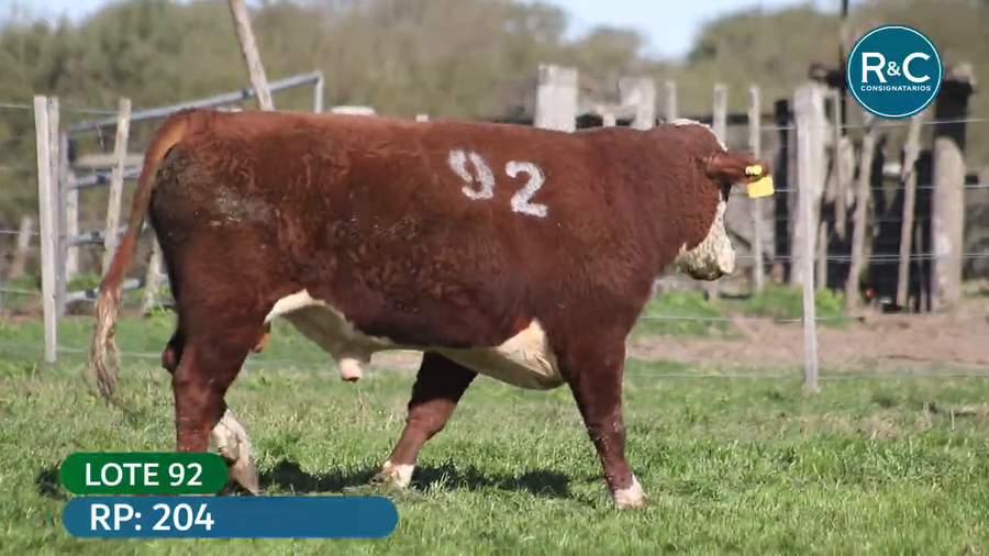 Lote Hereford
