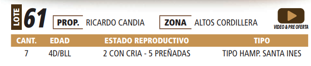 Lote LOTE 61 -POR PANTALLA