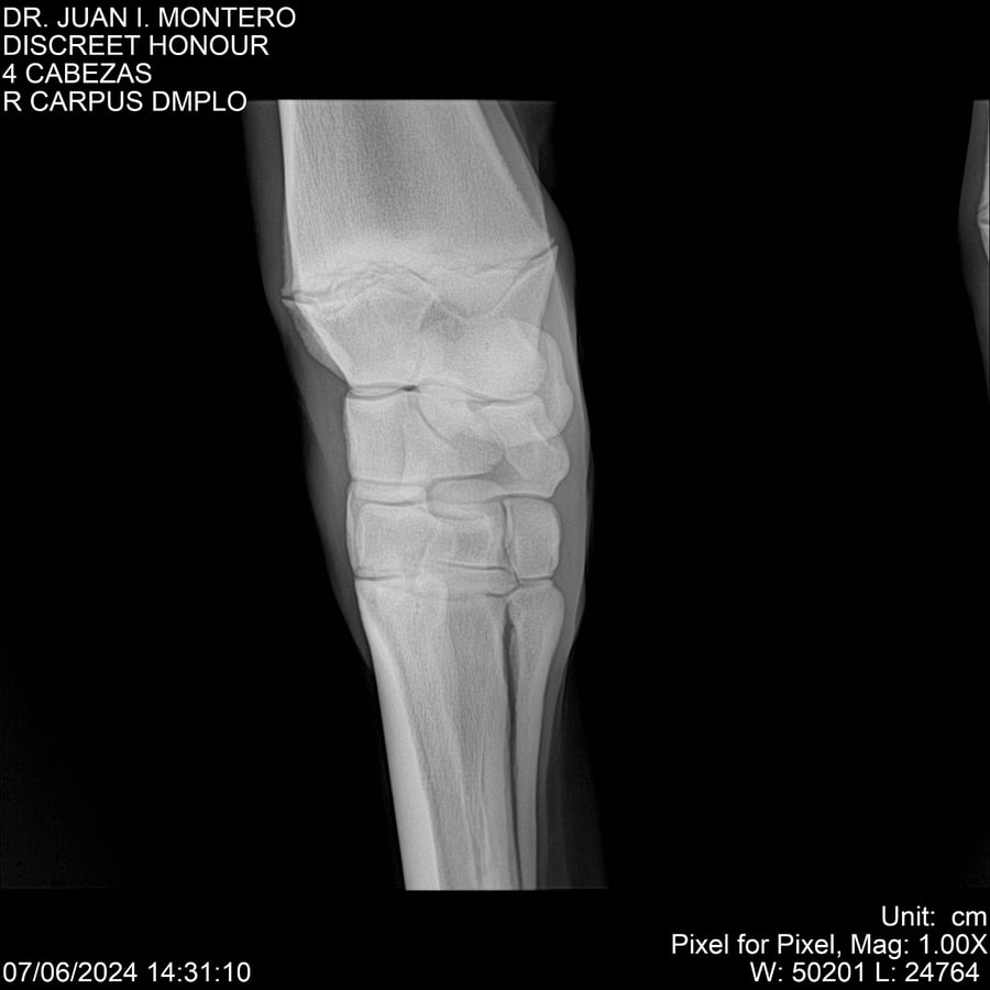 Lote DISCREET HONOUR